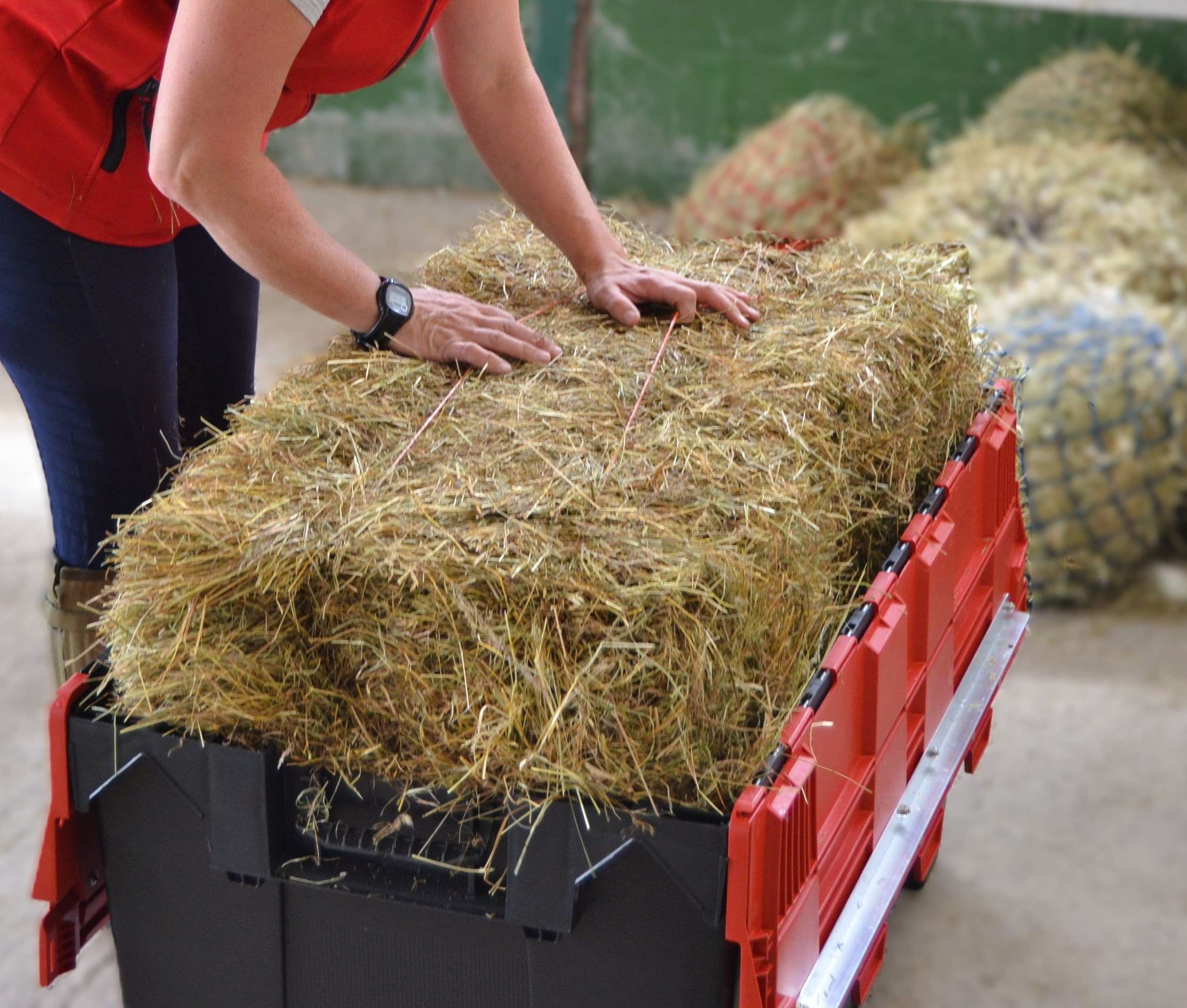 hay-steamer-inhayle