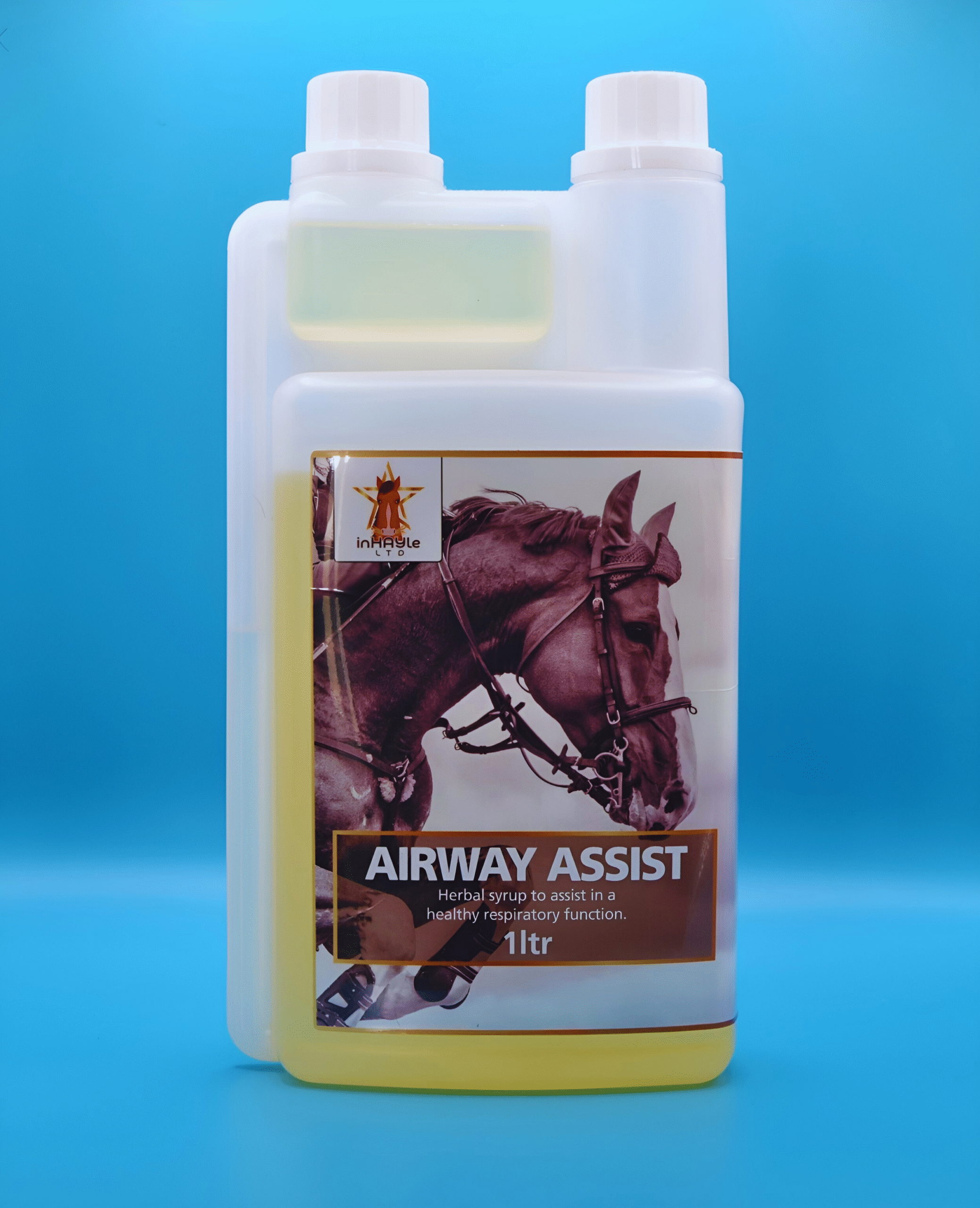 Airway Assist